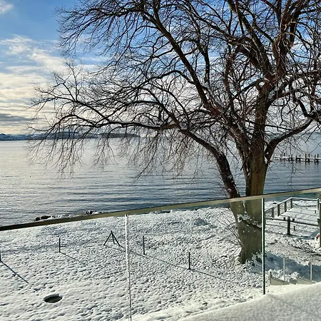 Seelig * Alt Reddevitz