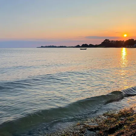 Seelig Alt Reddevitz