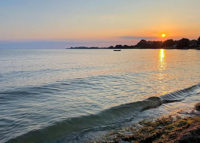 Seelig Alt Reddevitz