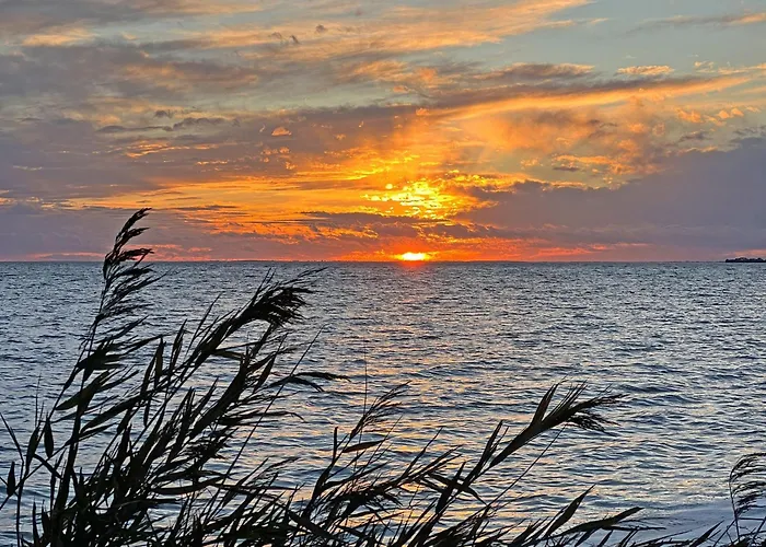 Seelig Apartment Alt Reddevitz